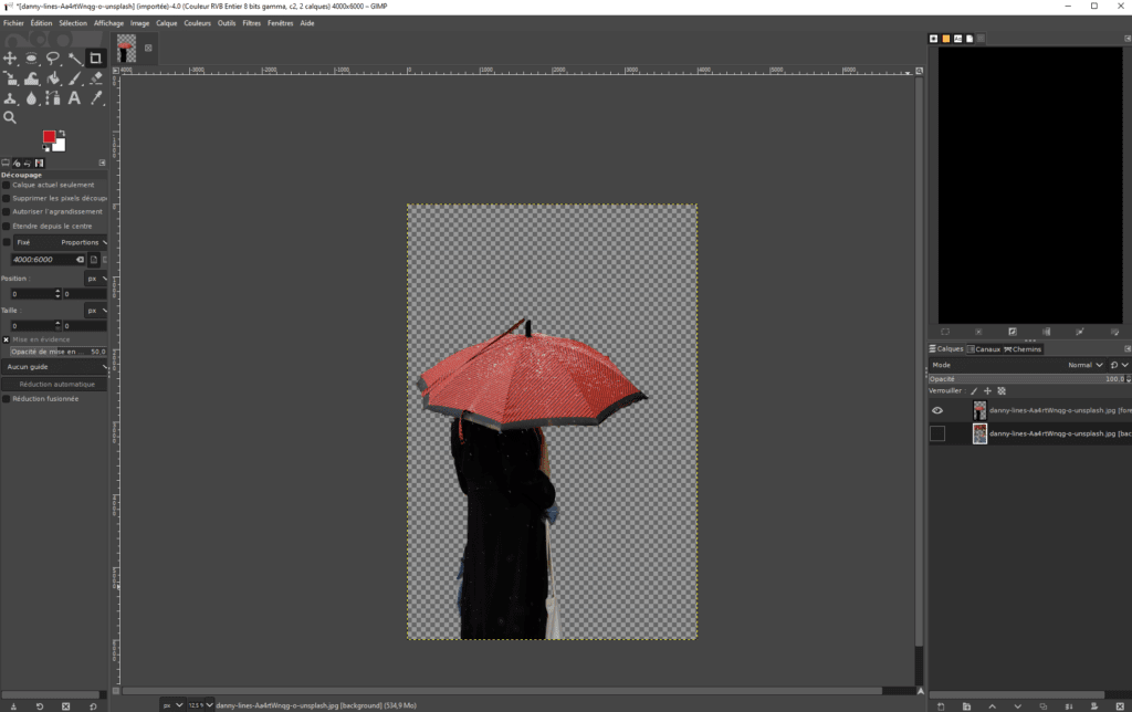 Affichage du calque du premier plan issu du détourage.