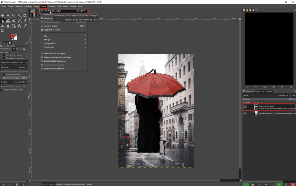 Copier-coller du calque issu du détourage sur la nouvelle photo.