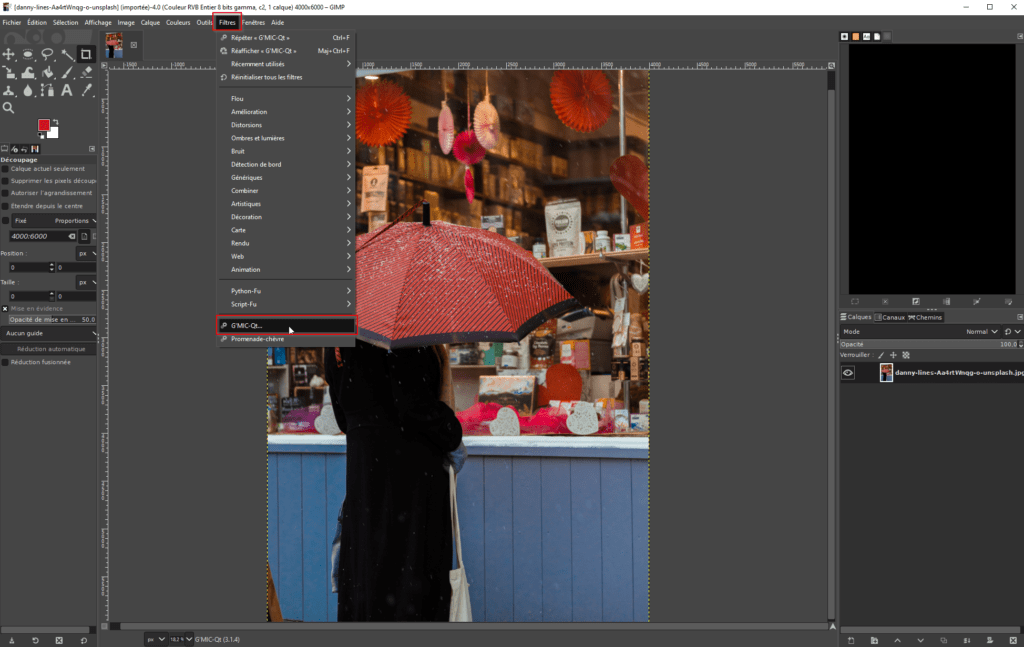 Lancement du plugin G'Mic-Qt dans Gimp.